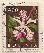 ARC-bolivia26.jpg-crop-144x173at256-80.jpg