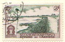 ARC-cambodia05.jpg-crop-209x137at250-703.jpg