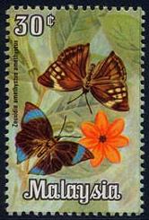 Skap-malaysia_01_bfly.jpg-crop-166x245at180-4.jpg