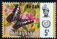 Skap-malaysia_54_bfly.jpg-crop-194x133at499-3.jpg