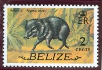 WSA-Belize-Postage-1974.jpg-crop-203x139at661-194.jpg