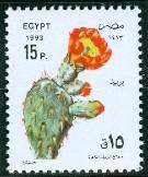 WSA-Egypt-Postage-1993-1.jpg-crop-135x162at466-821.jpg