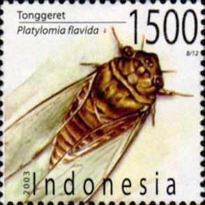 Platylomia_flavida_2003_Indonesia_stamp.jpg