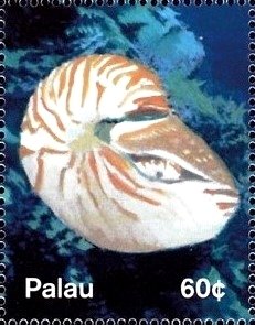 Colnect-3521-026-Nautilis.jpg