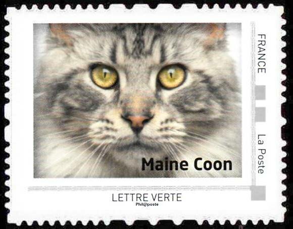 Colnect-5518-303-Maine-Coon.jpg
