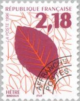 Colnect-146-390-Beech-leaf.jpg