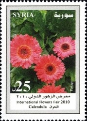 Colnect-1427-314-Calendula.jpg