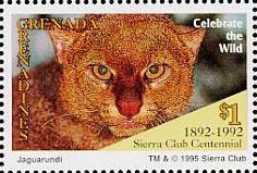 Colnect-4373-714-Jaguarundi.jpg