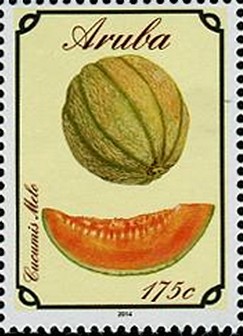 Colnect-2348-218-Muskmelon.jpg