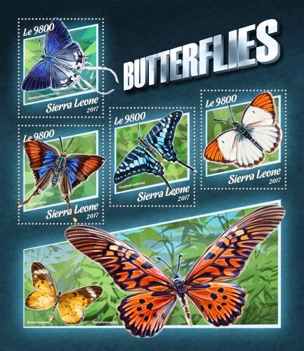 Colnect-5421-271-Butterflies.jpg