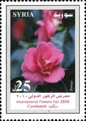 Colnect-1427-315-Cyclamen.jpg