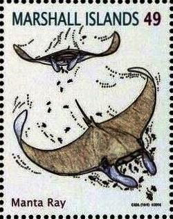 Colnect-6197-231-Manta-rays.jpg