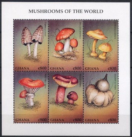 Colnect-4510-632-Mushrooms.jpg
