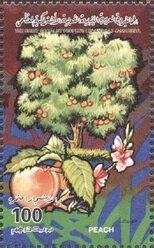 Colnect-5476-497-Peaches.jpg