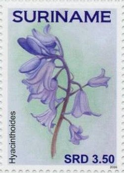Colnect-4204-568-Flowers.jpg