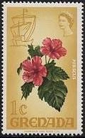 Colnect-1369-665-Hibiscus.jpg