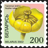 Colnect-1058-246-Nuphar-lutea.jpg