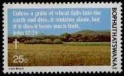 Colnect-2189-816-Wheat-field.jpg