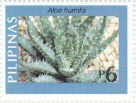 Colnect-2898-906-Aloe-humilis.jpg
