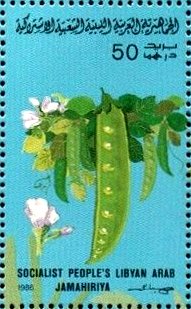 Colnect-4816-267-Peas.jpg