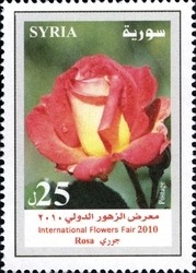 Colnect-1427-316-Rose.jpg