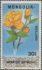 Colnect-1252-884-Meilland.jpg