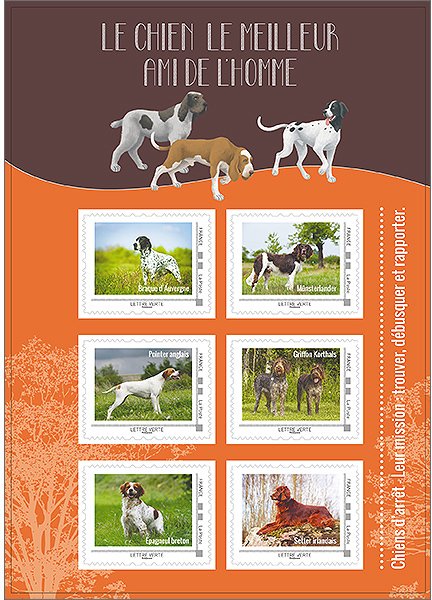 Colnect-3148-428-Hunting-dogs.jpg