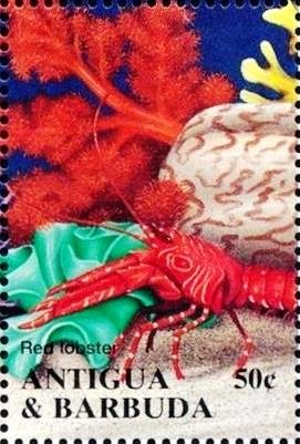 Colnect-4112-758-Red-lobster.jpg