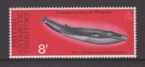 Colnect-1376-095-Fin-Whale.jpg