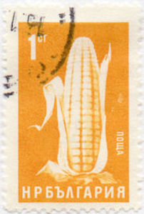 Colnect-1249-601-Corn.jpg