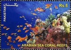 Colnect-1547-873-The-Arabian-Sea-Coral-Reefs.jpg