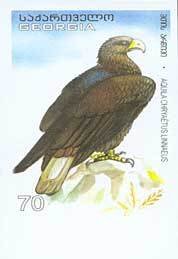 Colnect-1109-157-Golden-Eagle%C2%A0Aquila-chrysaetos.jpg