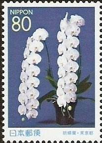 Colnect-1021-264-Phalaenopsis-Orchid.jpg