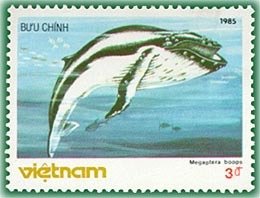 Colnect-1160-441-Humpback-Whale-Megaptera-novaeangliae.jpg