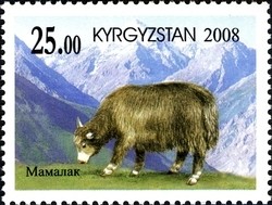 Colnect-1535-203-Mamalak-Yak-Bos-mutus.jpg