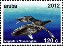 Colnect-1622-508-Humpback-Whale-Megaptera-novaeangliae.jpg