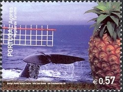 Colnect-521-368-Whaletail-Pineapple.jpg