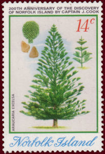 Colnect-1459-051-Norfolk-Island-pine-cone-and-seedling.jpg