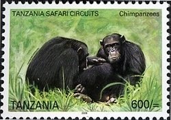 Colnect-1690-442-Chimpanzee-Pan-troglodytes.jpg
