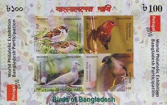 Colnect-1762-822-Birds-of-Bangladesh-S-S-Imperforated.jpg