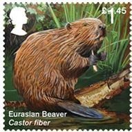 Colnect-5038-264-Eurasian-Beaver-Castor-fiber.jpg