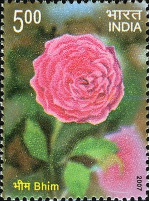 Colnect-542-602-Fragrance-of-Roses---Bhim.jpg