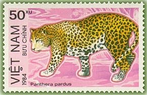 Colnect-1628-845-Leopard-Panthera-pardus.jpg
