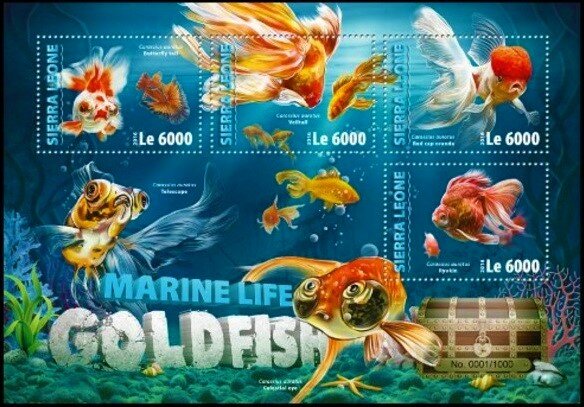 Colnect-5653-793-Various-Goldfishes.jpg