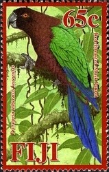 Colnect-934-691-Koro-Island-Shining-Parrot-Prosopeia-tabuensis-koroensis.jpg