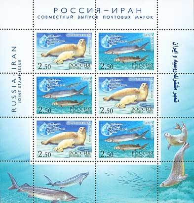 Colnect-191-033-Caspian-Seal-Pusa-caspica-European-Sturgeon-Huso-huso.jpg