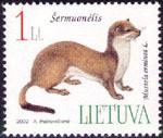 Colnect-348-544-Stoat-Mustela-erminea.jpg