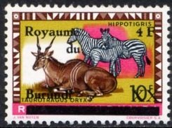 Colnect-1177-595-Common-Eland-Taurotragus-oryx-Zebra-Equus-sp.jpg