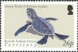 Colnect-1425-788-Green-Sea-Turtle-Chelonia-mydas.jpg
