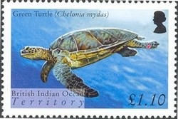 Colnect-1425-793-Green-Sea-Turtle-Chelonia-mydas.jpg